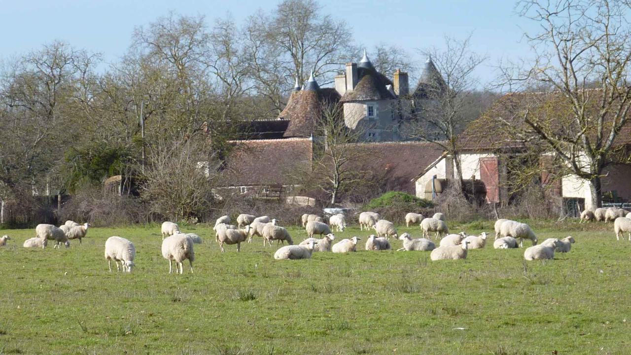 Le Logis Alexandra Bnb La Trimouille Екстериор снимка